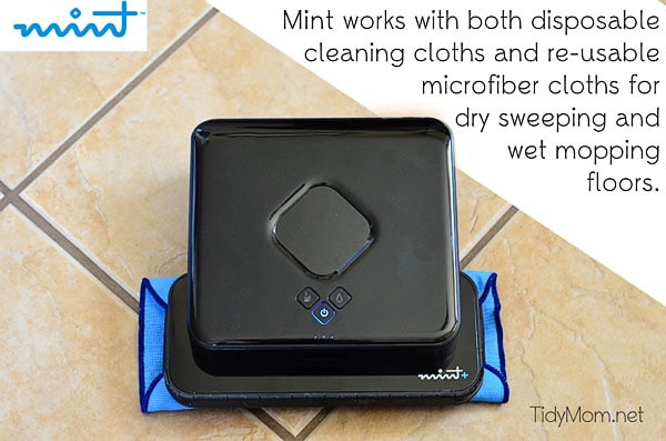 The Mint Floor Cleaner at TidyMom