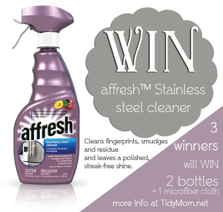 Win affresh stainless steel cleaner at TidyMom