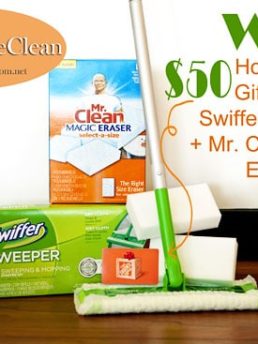 Home Depot P&G Prize Pack at TidyMom.net
