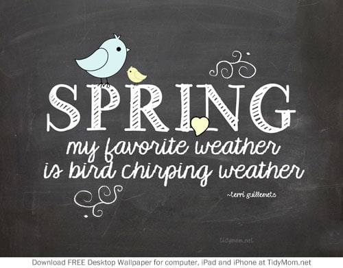 Spring April Chalkboard Wallpaper TidyMom