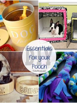12 DIY Essentials For the Pampered Pooch at TidyMom.net