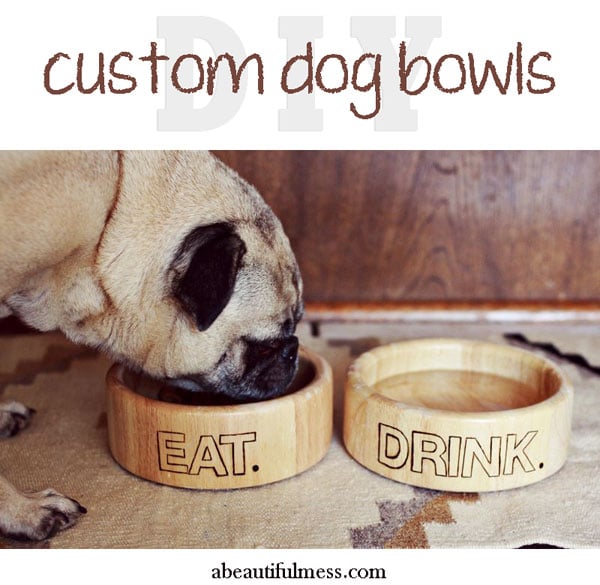 DIY Custom Dog Bowls