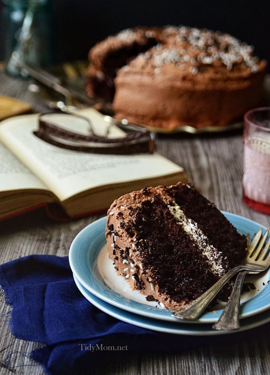 Malted Dark Chocolate Cake with Toasted Marshmallow Filling on a plate with two forks