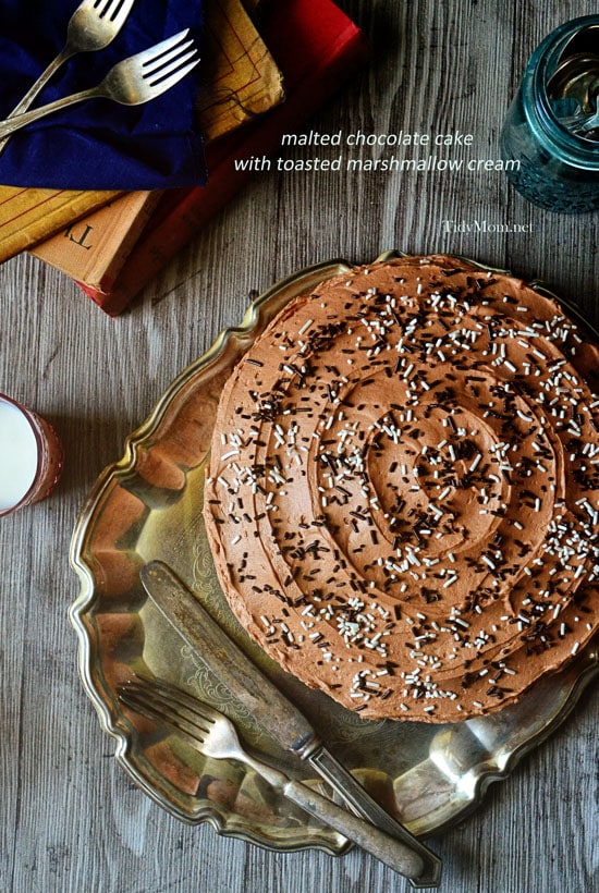 Malted Chocolate Cake with Toasted Marshmallow Cream recipe at TidyMom.net