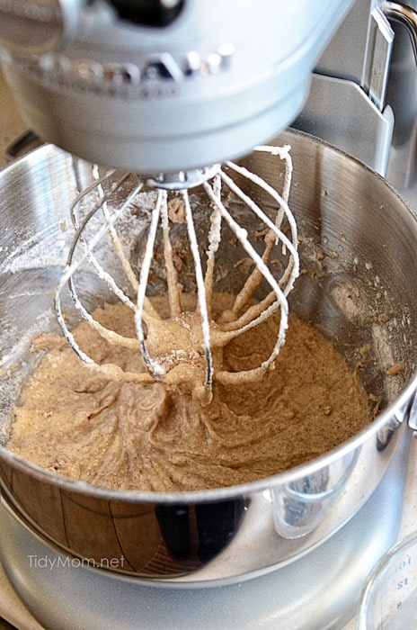 Snickerdoodle Cake Batter TidyMom