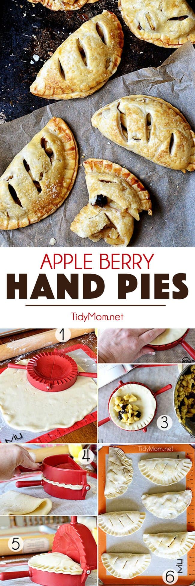 Refrigerated pie crust and a pie press makes this Apple Berry Hand Pies recipe simple and quick