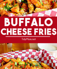 BUFFALO CHEESE FRIES photo collage
