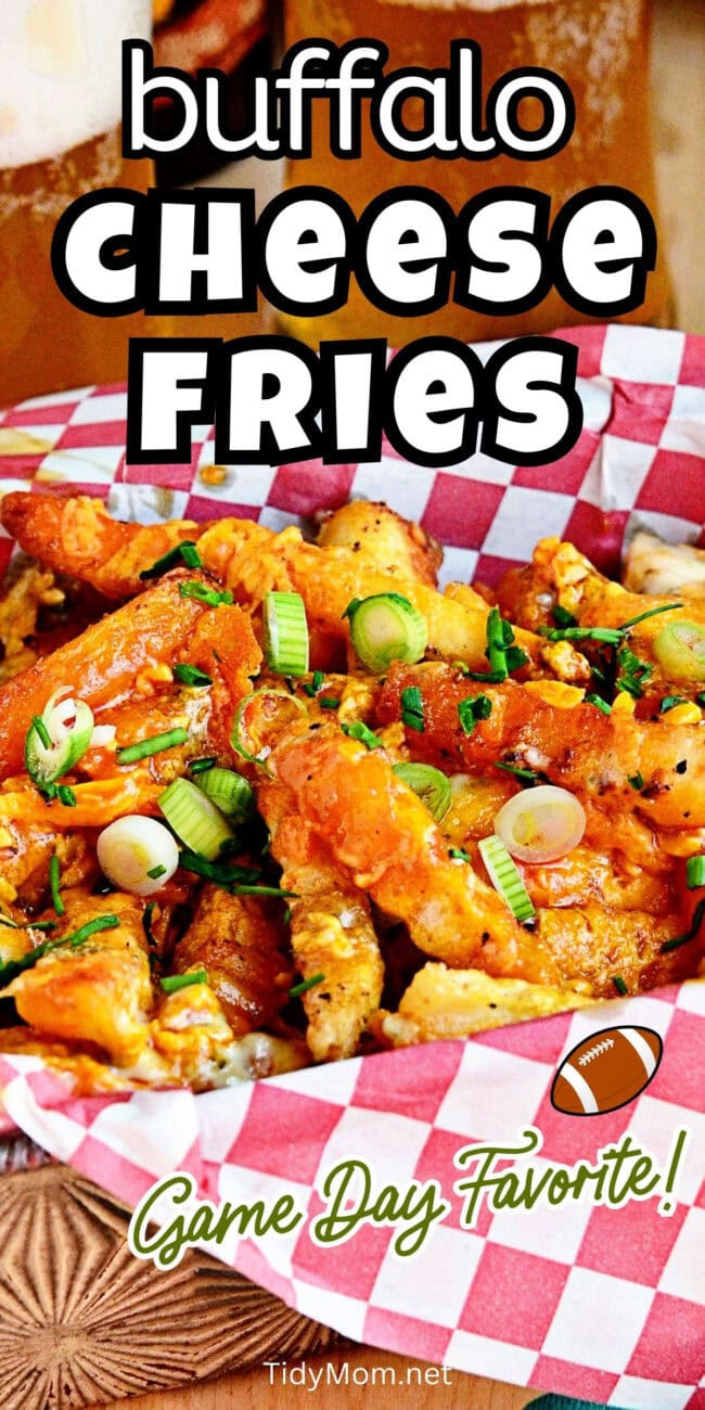 Cheesy buffalo fries