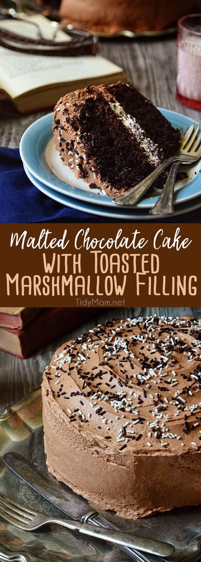 Malted Chocolate Cake with Toasted Marshmallow Filling