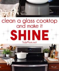 clean glass cook that shines