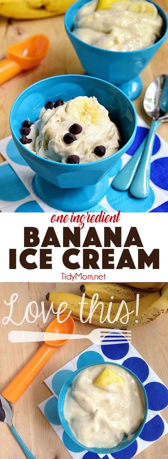ONE INGREDIENT BANANA ICE CREAM! That’s right, just pulverize frozen bananas for this creamy frozen treat…..just like ice cream! details at TidyMom.net