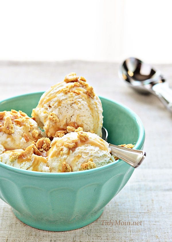 Pioneer Woman  Vanilla Bean Ice Cream - Recipe Diaries