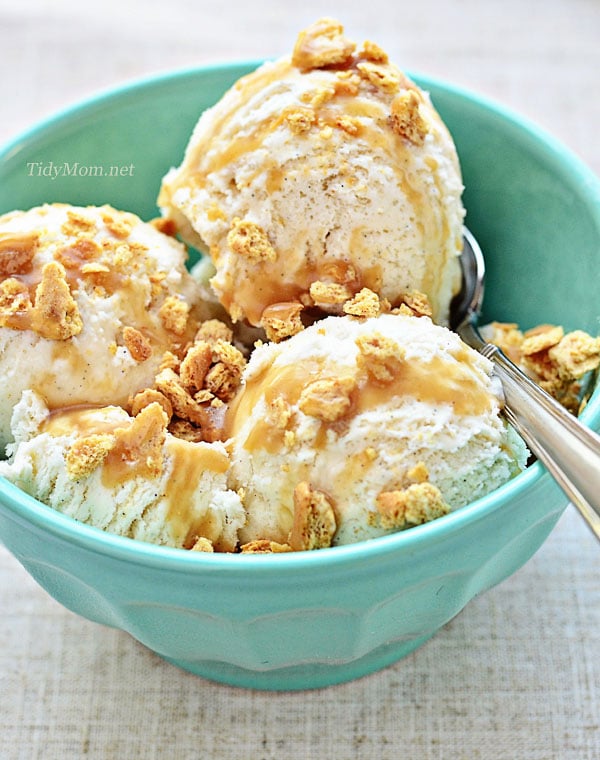 Easy Vanilla Bean Ice Cream recipe at TidyMom.net