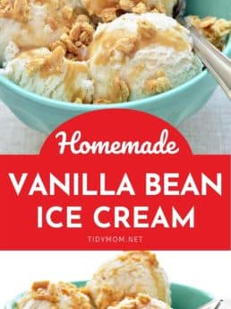 homemade vanilla ice cream in a blue bowl