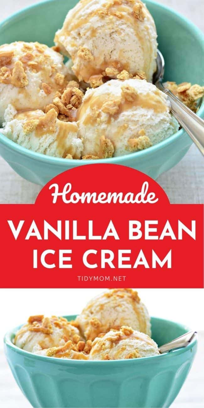 Vanilla Bean Ice Cream Recipe - Philadelphia Style