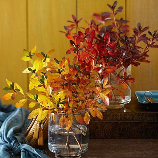 Bring the out doors in this fall. Decorate with fall leaves.