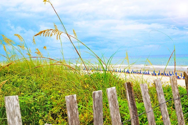 Scenic Gulf View at Seaside, Florida Learn more at TidyMom.net