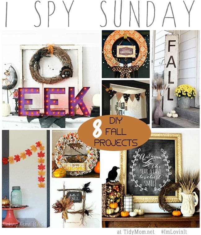 8 DIY Fall Projects at TidyMom