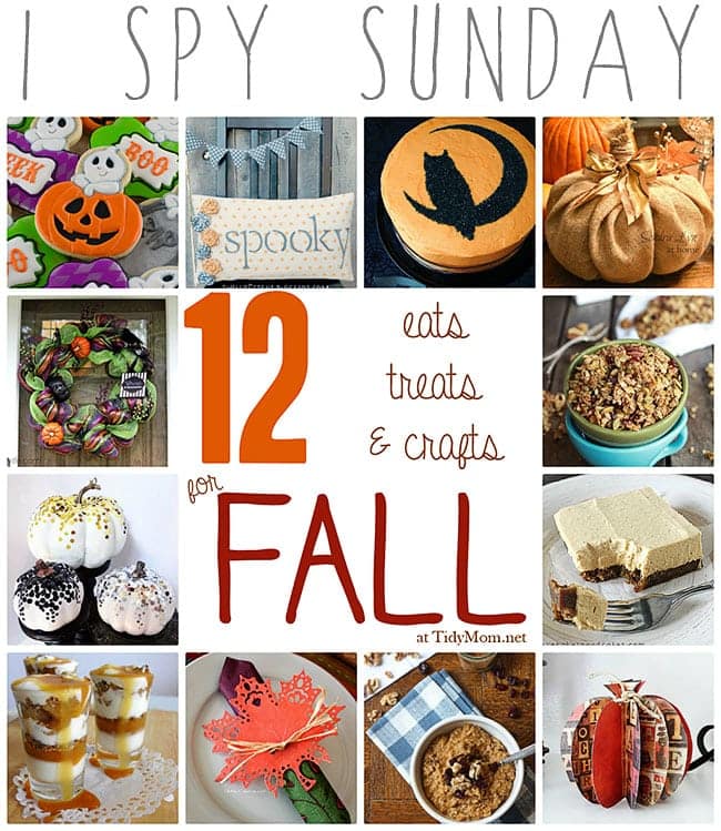 12 Eats, Treats & Crafts for Fall at TidyMom.net