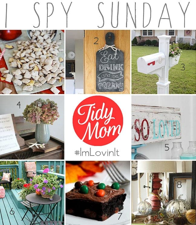 I Spy Sunday - features from I'm Lovin' It Linky Party at TidyMom.net