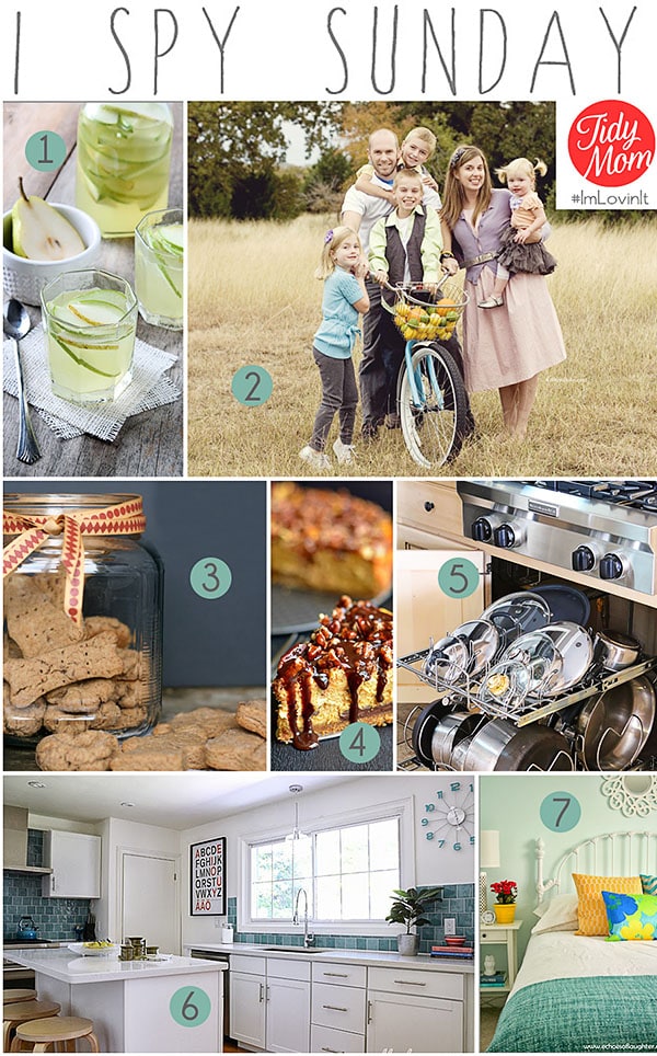 I Spy Sunday Features at TidyMom.net | Makeovers, Photography Tips, Recipes and More!!