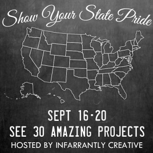 state pride blog tour