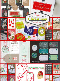 Find a plethora of free, printable Christmas tags that can be printed right at home. Most of the printable Christmas gift tags are great for presents under the tree, or any holiday presents you may have for your neighbors, teachers, the hair stylist, friends and more. Head over to TidyMom.net for all the details!