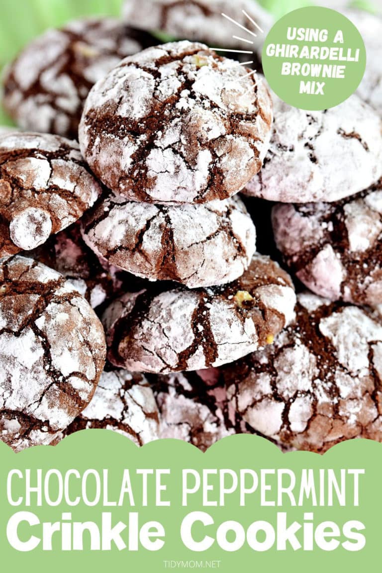 Chocolate Peppermint Crinkle Cookie Recipe