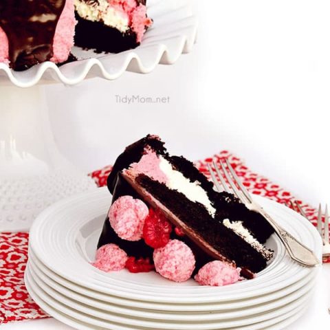Dark Chocolate Marshmallow Cake with Raspberry Buttercream