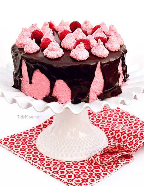 Dark Chocolate Cake with Toasted Marshmallow Filling and Raspberry Buttercream covered Chocolate Gancache recipe at TidyMom.net