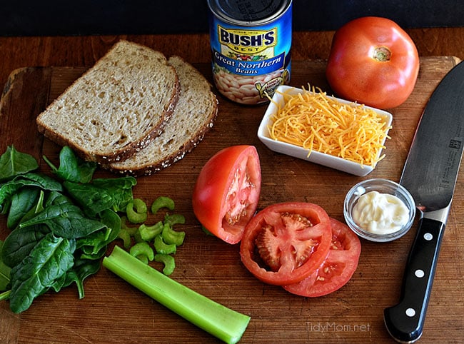 White Bean Cheddar Melt recipe at TidyMom.net