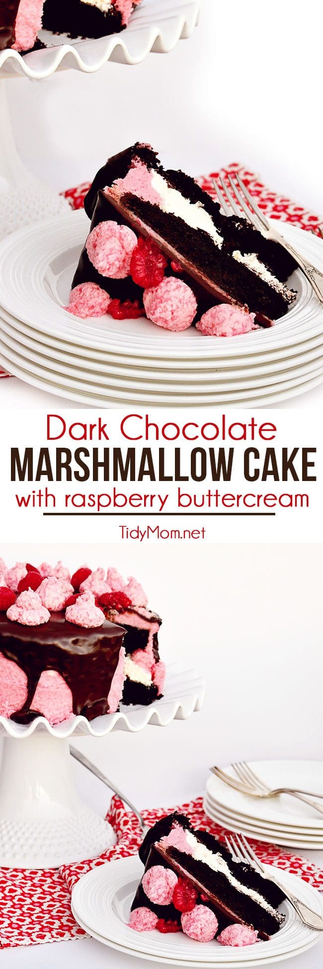 Dark chocolate, toasted marshmallow and raspberries is a delicious combination for a baby shower, birthday party, and perfect for Valentine's Day. Dark Chocolate Covered Marshmallow Cake with Raspberry Buttercream recipe at TidyMom.net
