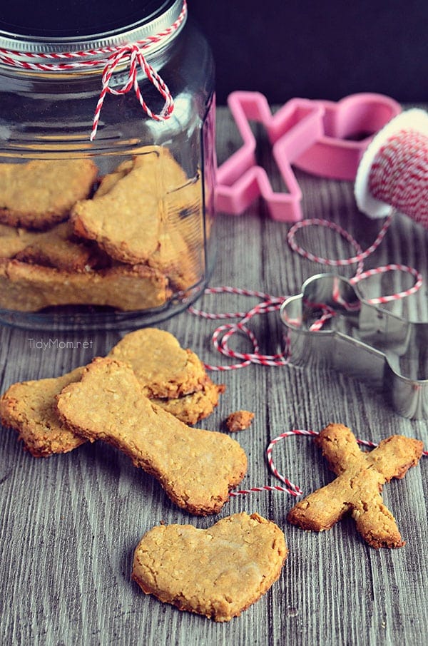 Peanut Butter & Coconut Homemade Dog Biscuits recipe at TidyMom.net