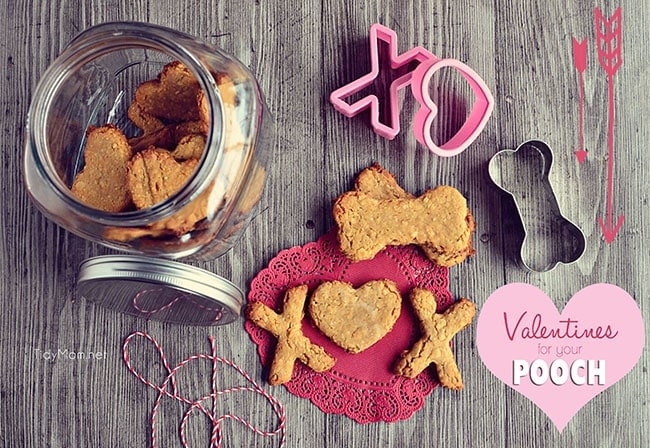 Valentine Treats for Dogs recipe at TidyMom.net