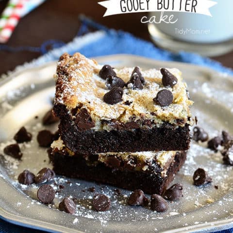 Chocolate Chip Gooey Butter Cake. So delicious you wont want to share! recipe at TidyMom.net