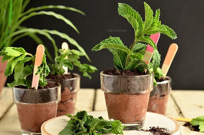 Flower Pot Chocolate Cheesecake {no bake} perfect for Mother's Day, bridal shower or spring/summer soiree. recipe at TidyMom.net