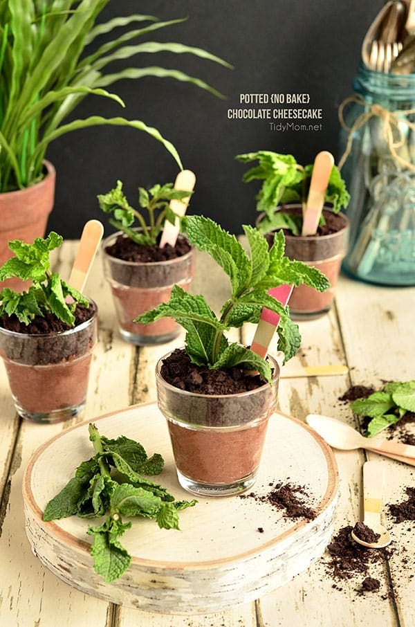 These may look like darling potted herbs, but these Potted Chocolate Cheesecake sprout to life when they are topped with ground cookie "dirt" and a sprig of fresh mint! No-Bake Potted Chocolate Cheesecake perfect for Mother's Day, bridal shower or spring/summer soiree. recipe at TidyMom.net