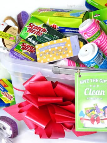 Get the gift of clean from TidyMom.net and Scotch-Brite
