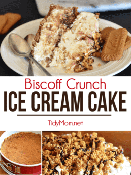 This easy ice cream cake is made with Biscoff cookies, vanilla ice cream, Biscoff Spread, and rice cereal. BISCOFF ICE CREAM CRUNCH CAKE recipe at TidyMom.net