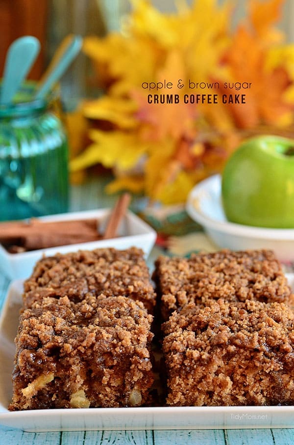 Brown Sugar and Apple Crumb Coffee Cake recipe at TidyMom.net