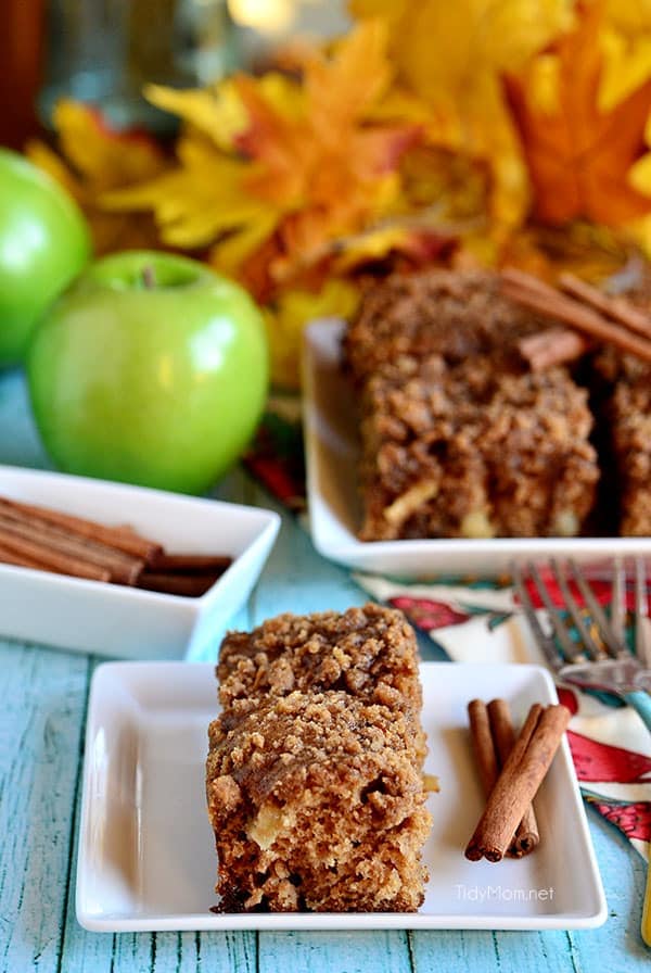 This easy-to-follow apple coffee cake recipe has all the taste of fall. Get the Brown Sugar and Apple Crumb Coffee Cake recipe at TidyMom.netApple and Brown Sugar Crumb Coffee Cake recipe at TidyMom.net