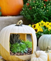 Gold Faux Pumpkin planter filled with succulents at TidyMom.net