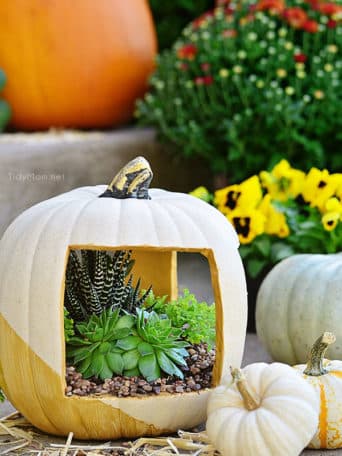 Gold Faux Pumpkin planter filled with succulents at TidyMom.net