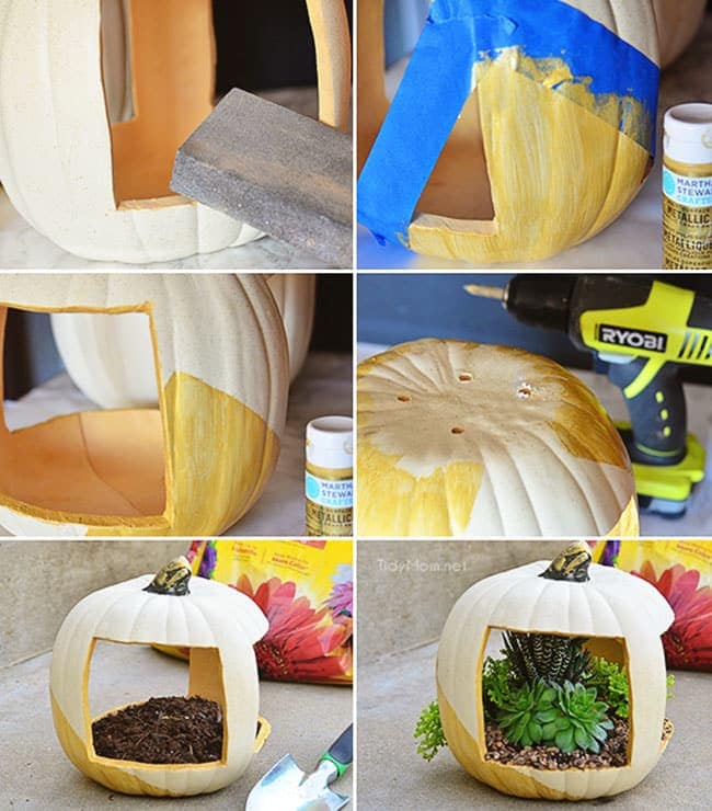 How to make a gold succulent pumpkin planter with succulents at TidyMom.net