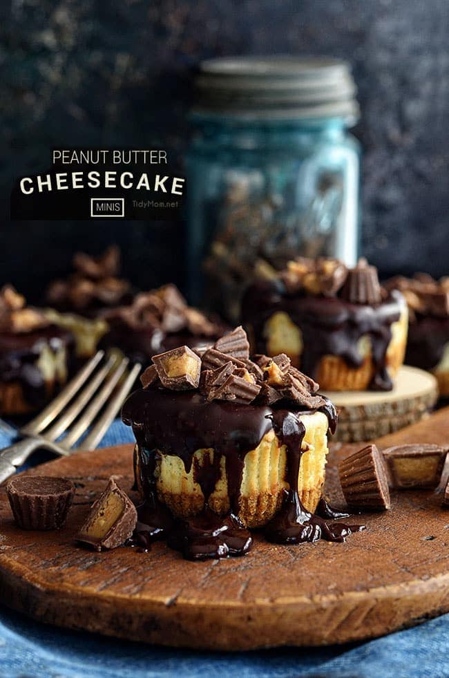 peanut butter cheesecake minis