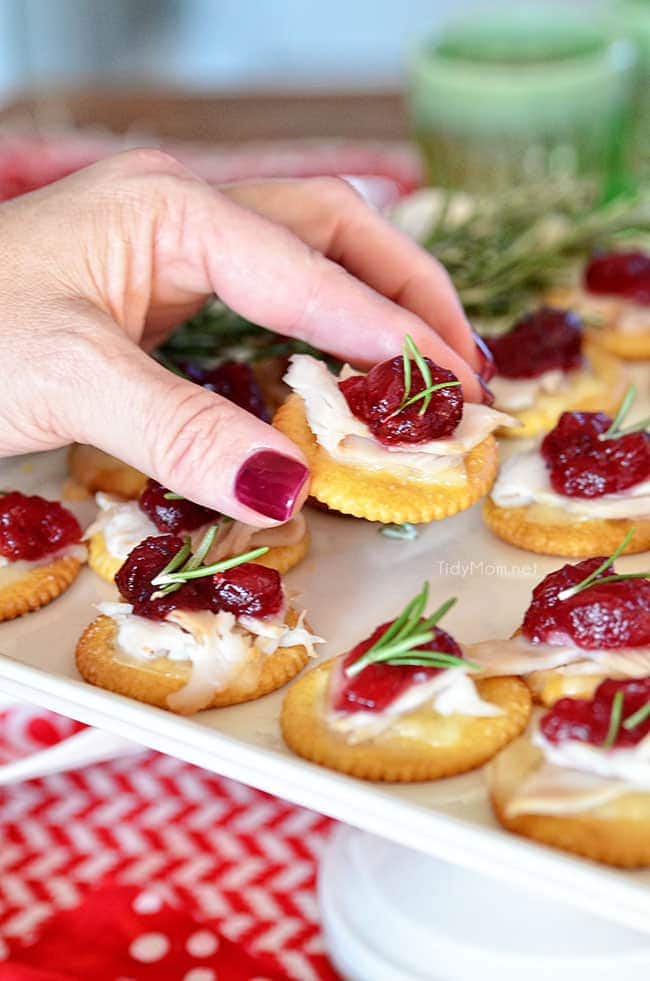 Turkey Cranberry Toppers close up