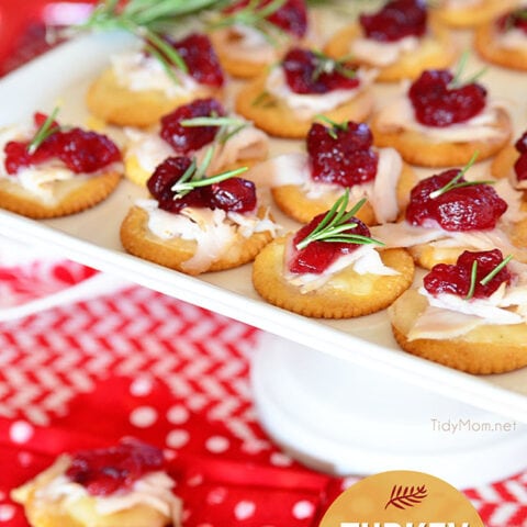 Turkey Cranberry Toppers on white tray