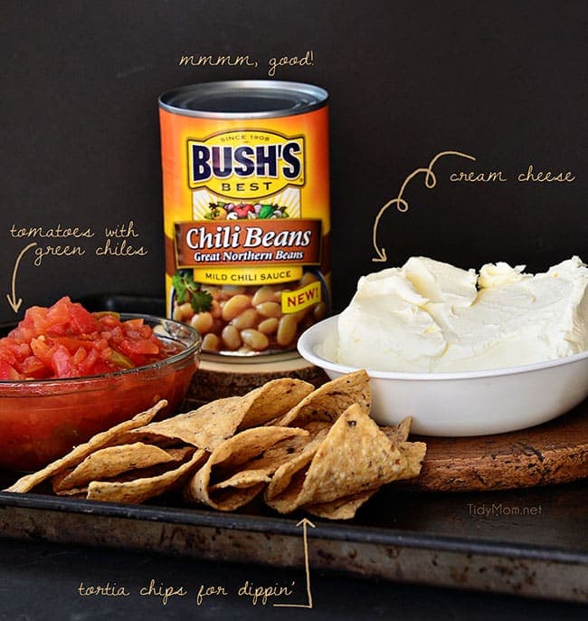 White Chili Bean Queso Dip with zesty tomatoes, cheese and Bush's white chili beans is sure to be a hit at any party or snack time. recipe at Tidymom.net