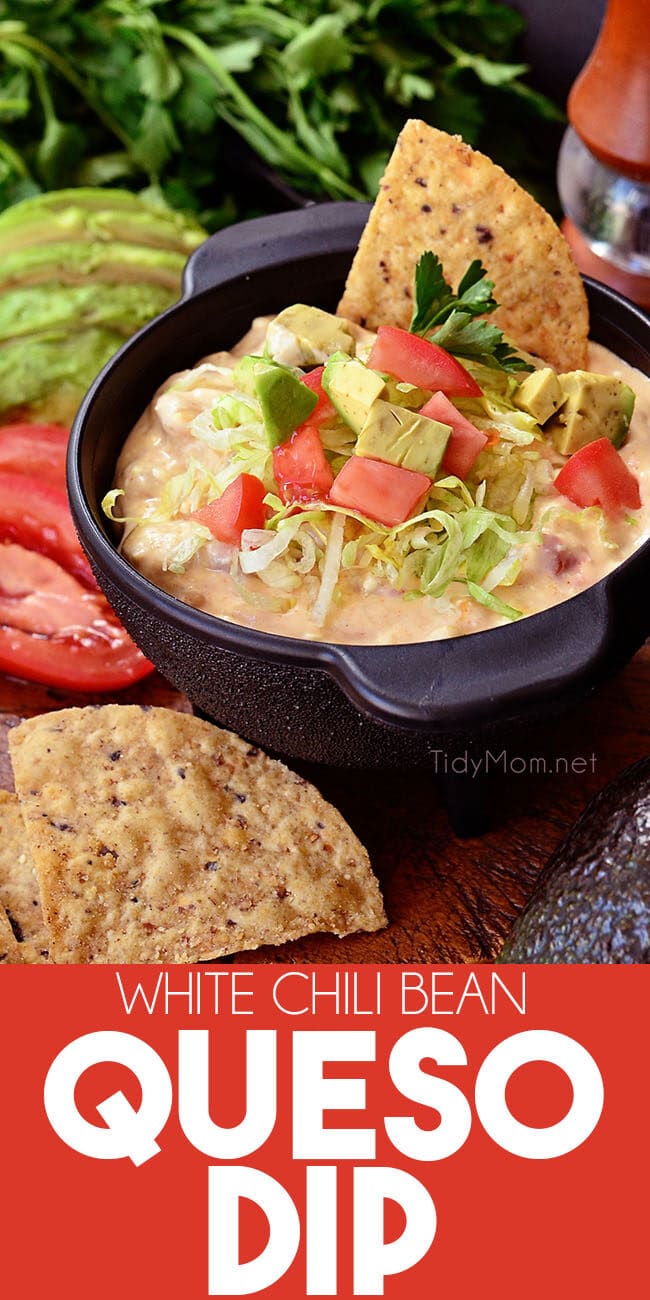 white chili bean queso dip in black Molcajete salsa bowl