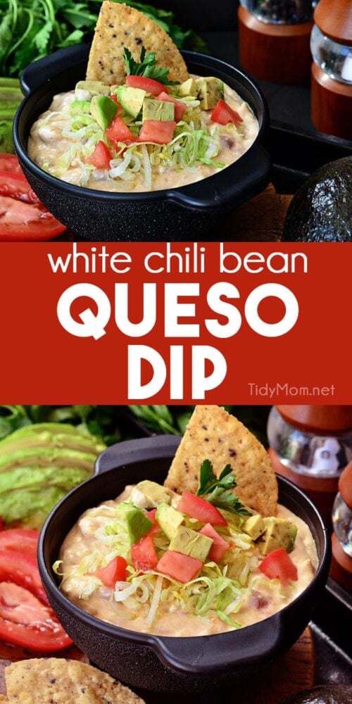 White Bean Queso Dip TidyMom